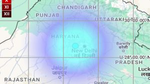 Earthquake Tremors Felt In Delhi And NCR; Eyewitnesses Share Their 'Scary' Experience 