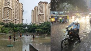 Karnataka Yellow Alert Issued: Bengaluru Sees Overnight Rains as IMD Predicts More Showers for Next 3 Days