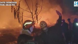 Delhi Fire: Massive Fire In Rohini Sector-28's Slum | Video