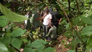 Dharmasthala Skeleton Found: Multiple Human Bones Found By SIT on Hillock Near Spot 11 