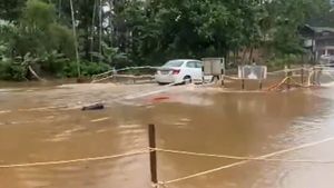 August 7 Holiday In Kerala: Will Schools, Colleges Remain Open In Rain Affected Regions?