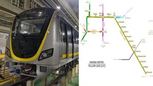 Bengaluru Metro: Is Namma Metro Charging Extra For Luggage? Here's What Tweeple Say