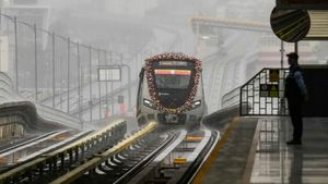 Bengaluru Metro Yellow Line Scare: Guard Falls on Tracks After 16-Hour Shift, Survives