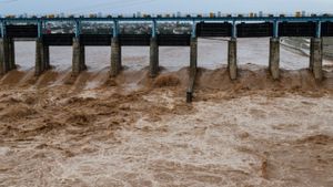 Heavy Rains Hit Jammu: Landslide Injures Four On Vaishno Devi Route, Helplines Issued