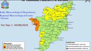 Tamil Nadu Weather: Heavy Rain Alerts In 13 Districts, Orange Alert In Nilgiris, Coimbatore Ghats