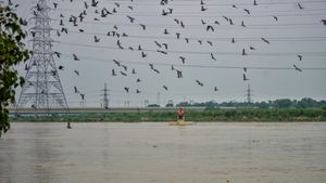 Yamuna Danger Mark Crossed, Delhi Put on High Flood Alert