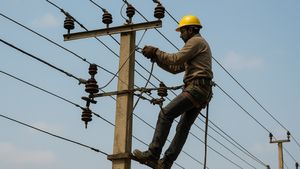 Bengaluru Power Cut on September 23: BESCOM Issues Notice, Check If Your Area Will Be Affected