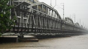 Delhi-NCR Rain Fury: Schools Shut In Noida, Ghaziabad; Yamuna Flood Alert Triggers Evacuations