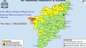 Tamil Nadu Weather: 11 Districts To Get Heavy Rains Today