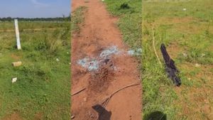 Coimbatore Airport Horror: 19-Year-Old Student Gang-Assaulted, Friend Attacked with Machete