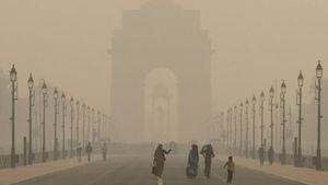 Delhi-NCR's Air Pollution Crisis: Supreme Court To Review Urgent Measures Next Week