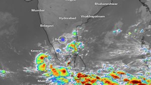 Karnataka Weather Alert: Cold Wave Alert in 5 North Karnataka Dists, Bengaluru Set for Slight Weather Change