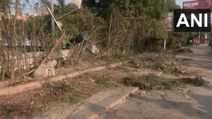 Vasant Kunj Tragedy: Mercedes Hits Pedestrians, 1 Dead, 2 Injured; Driver Detained