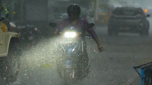Tamil Nadu Weather: 16 Dists To Get Heavy Rains; Chennai On Yellow Alert