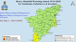 Tamil Nadu Weather: Heavy Showers Continue; Several Districts On Yellow Alert