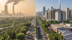 Delhi Struggles Under Smog, China Offers Lessons on Cleaner Air