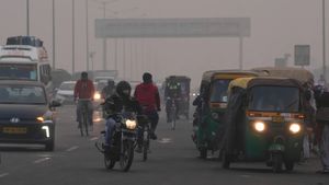 Delhi’s Toxic Air Crisis: Over 2 Lakh Acute Respiratory Cases Reported in 6 Major Hospitals Over 3 Years