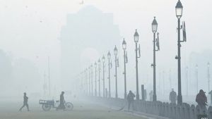 Delhi Wakes Up to Hazy Morning as Mild Winter Chill Continues