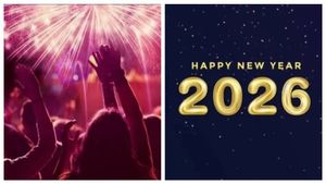 New Year 2026: What Is Closed And What Is Open Across Karnataka, Including Bangalore?  
