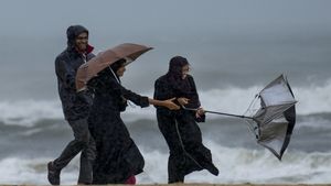 Tamil Nadu Weather: Cold Waves Set To Hit Chennai; Hosur Near Bengaluru To Dip To 10°C