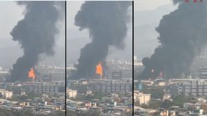 Massive Ball Of Fire Erupts Out At A Chemical Factory In Navi Mumbai’s Mahape MIDC, Watch 