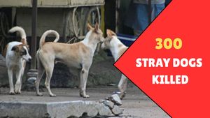Telangana Horror: About 300 Stray Dogs Allegedly Killed In A Month, Sarpanch Booked For Secretly Burying Them