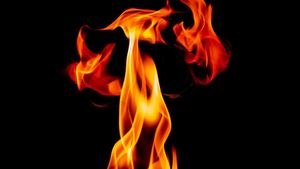 Three Killed In Massive Warehouse Fire In South 24 Parganas, Rescue Operations Continue