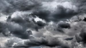 IMD Weather Forecast For January 19: Fog And Mist Likely In Hyderabad And Other Major Cities