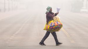 Delhi-NCR Weather: Early Morning Rain Intensifies Cold Wave, AQI Stays Very Poor