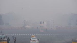 Delhi Sees Second-Cleanest January Since 2022 Despite CREA Flagging Marginal AQI Increase