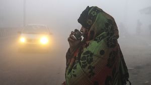 Cold Wave Deepens in NCR, Gurugram Records Bone-Chilling 0.8°C
