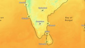 Cold Wave Tightens Grip on Karnataka as Bengaluru, Interior Districts Face Chilly Nights; IMD Warns of 2-4°