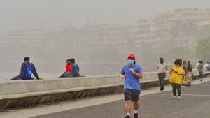 Mumbai Air Quality Remains Severe On Saturday Morning; AQI Stays Above 200 Across City
