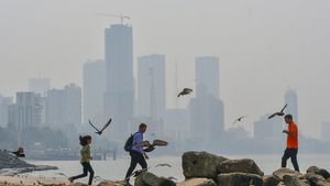 Mumbai AQI Today: Air Quality in Severe Category, Wadala, Sion In Hazardous Levels