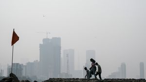 Mumbai’s Air Quality Deteriorates On Tuesday, Several Areas Record High Pollution