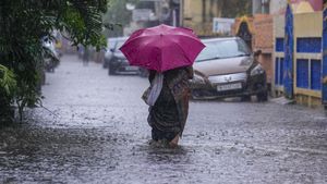Tamil Nadu Weather: Fresh Spell From Jan 9 To Soak As TN Set To Get Excess Rains In Jan