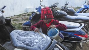 Tamil Nadu Weather: TN Shivers; Chennai Feels The Chill, Hosur Near Ooty-Level Cold
