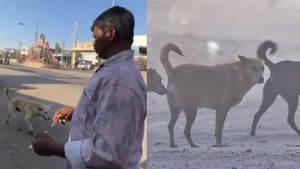 Telangana Police Book 15, Including Village Heads, After 500 Stray Dogs Killed to Fulfil Election Promises