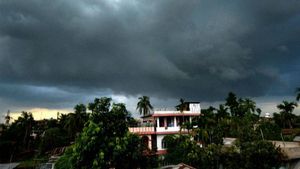 Hyderabad Weather Update Today, February 4: Partly Cloudy Skies, Morning Fog Likely; Temperature May Touch 29°