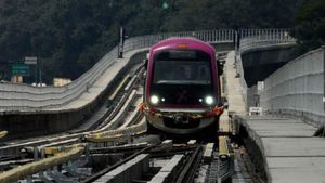 Metro Services May Be Halted on March 7 Over Fare Hike, Warns Activist Vatal Nagaraj