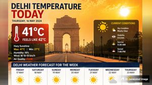 Delhi Temperature Today: Delhi Sizzles as Temperatures Surge Past 42°C; Check Weather Report For A Week