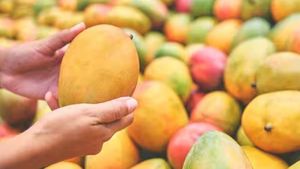 Hyderabad Mango Crackdown: 2 Traders Held, 7 Tonnes of Suspected Chemically Ripened Fruit Seized