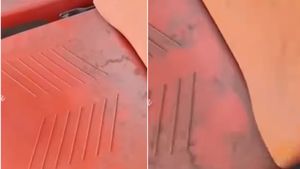 Rs 3,500 Ticket, Dusty Seats: Fans Slam Hyderabad Stadium Management During SRH vs LSG Match
