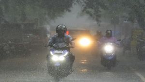 Chennai to Get Light Rain, Thunderstorms; Heavy Rain Alert Issued for Several Tamil Nadu Districts