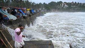 Heavy Rains Lash Kerala; IMD Issues Orange Alert For 3 Districts, Here's How To Track Rain Clouds Live