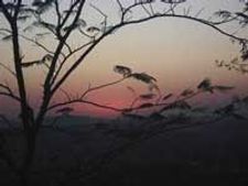 ನೃಪತುಂಗ ಬೆಟ್ಟದಲ್ಲಿ ಸಾಂಸ್ಕೃತಿಕ ಸಂಜೆ 
