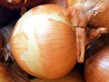 ಈರುಳ್ಳಿ ಬೆಳೆಯಲ್ಲಿ ಏರಿಕೆ, ಬೆಲೆಯಲ್ಲಿ ಇಳಿಕೆ ಸಂಭವ
