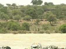 ನಡುಗಡ್ಡೆಯಂತಾಗಿರುವ ನೀಲಕಂಠರಾಯ ಗಡ್ಡಿ ಗ್ರಾಮ