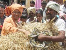 ಬರಪೀಡಿತ ಪಾವಗಡದಲ್ಲಿ ಮೇವು ಹಂಚಿದ ಸ್ವಾಮೀಜಿ