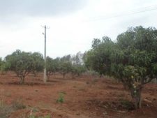 ರಮೇಶ್ ಕುಮಾರ್ ಒತ್ತುವರಿ ಮಾಡಿದ್ದ ಭೂಮಿ ತೆರವು